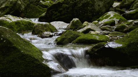 水声|流动的水声